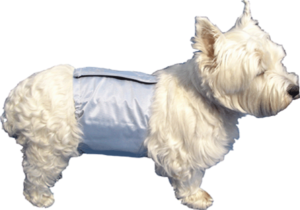 PoochPads - PoochPants -Male Disper Wraps